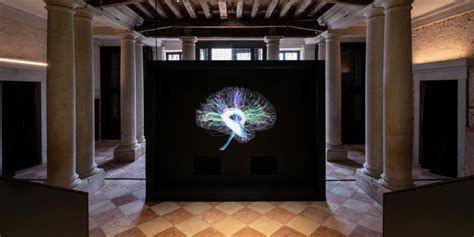 Venice's Prada Foundation Tackles Brains in 'It Begins with an Idea'